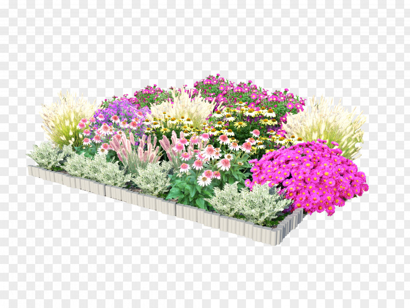 Flower Floral Design Flowerpot Cut Flowers Annual Plant PNG