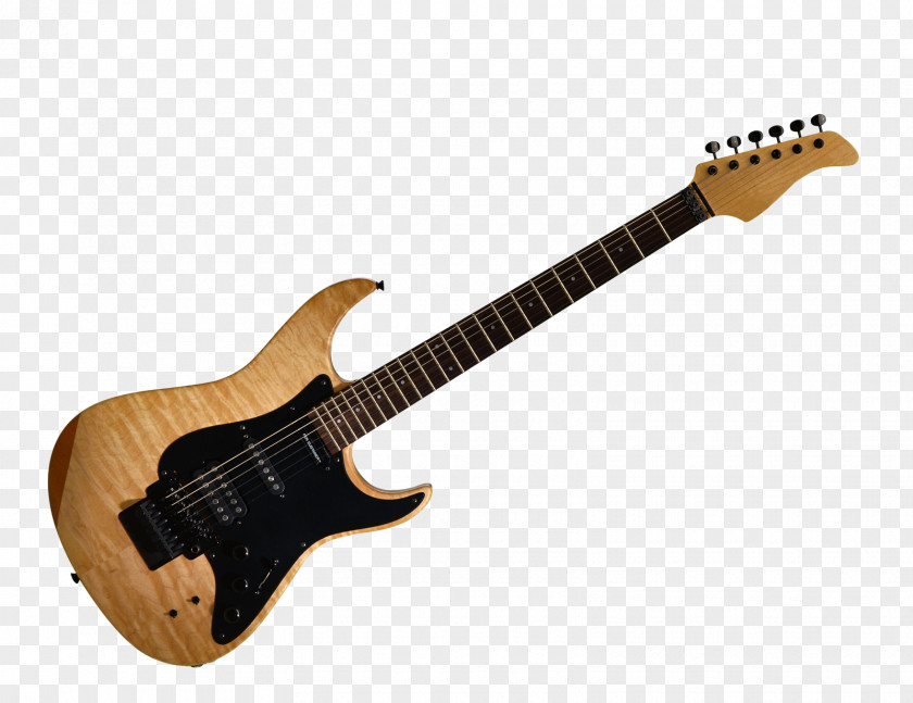 Guitar Fender Stratocaster Telecaster Starcaster Gibson Les Paul PNG