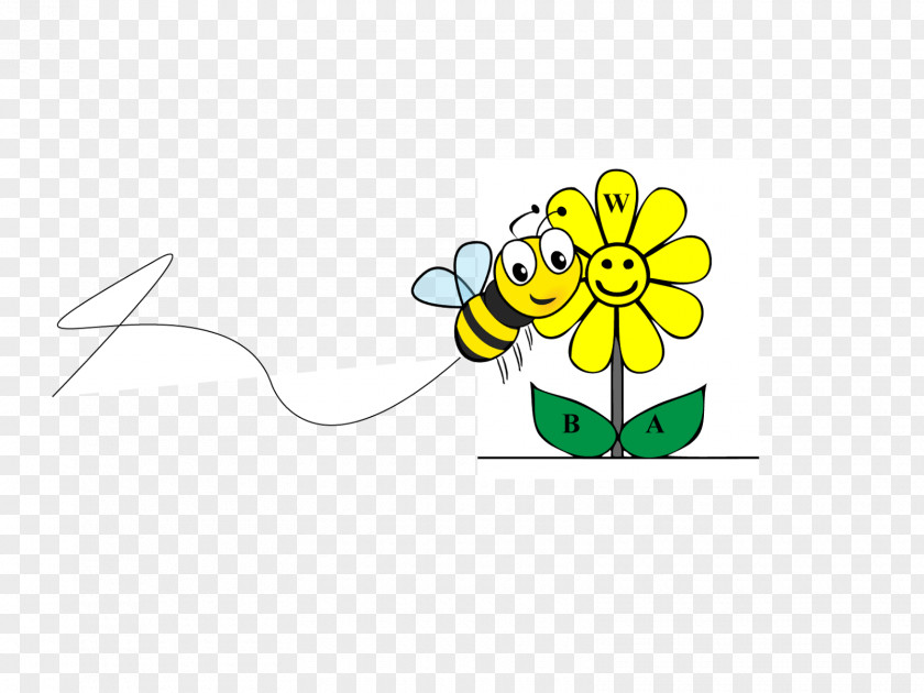 Insect Bee Leaf Clip Art PNG