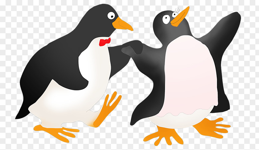 Penguin Clip Art PNG