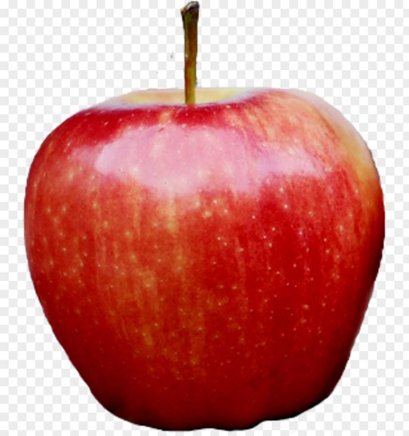 Apple Clip Art PNG