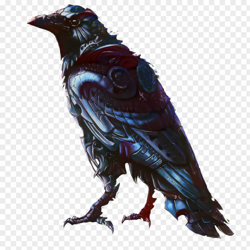 Common Raven Crow Art Drawing PNG