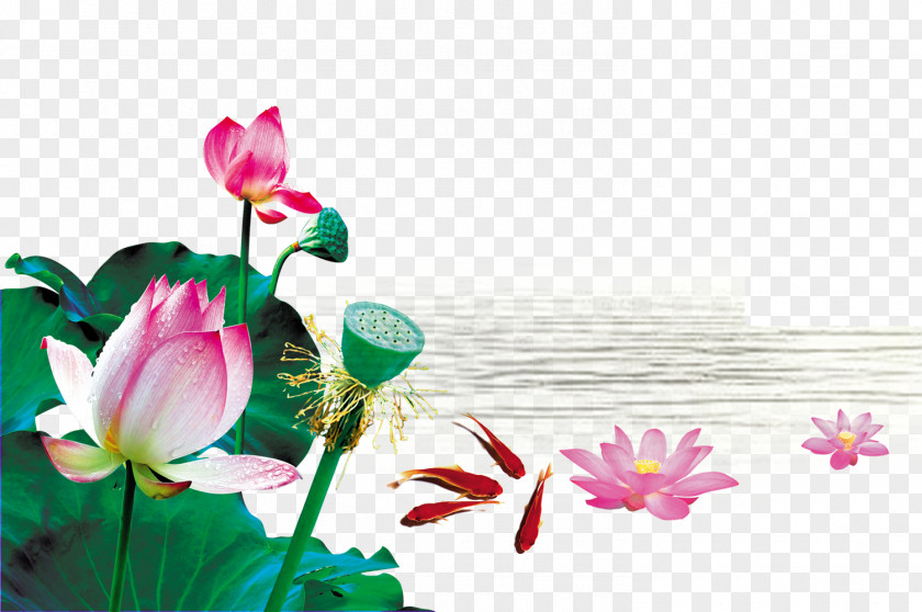 Creative Lotus Pond Analects Lu Disciples Of Confucius Junzi Written Vernacular Chinese PNG