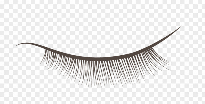 Eyelash Extensions Product Design PNG