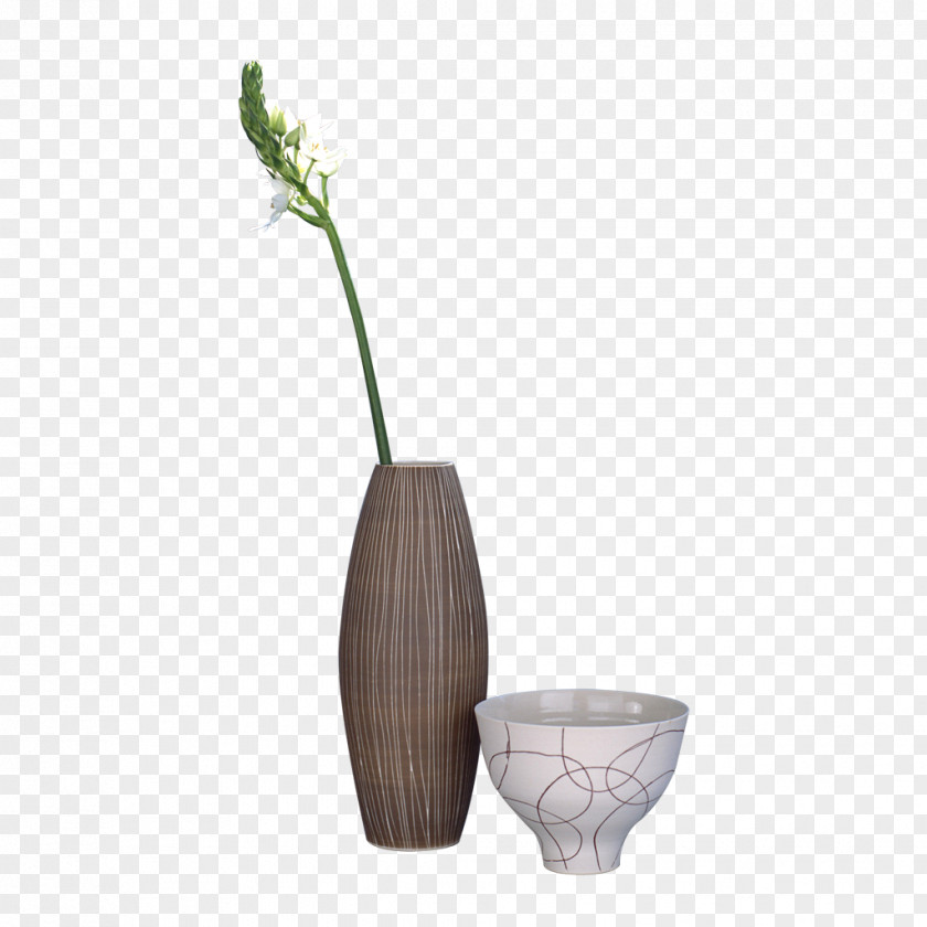 Floral Elements Bonsai Flowerpot Plant PNG