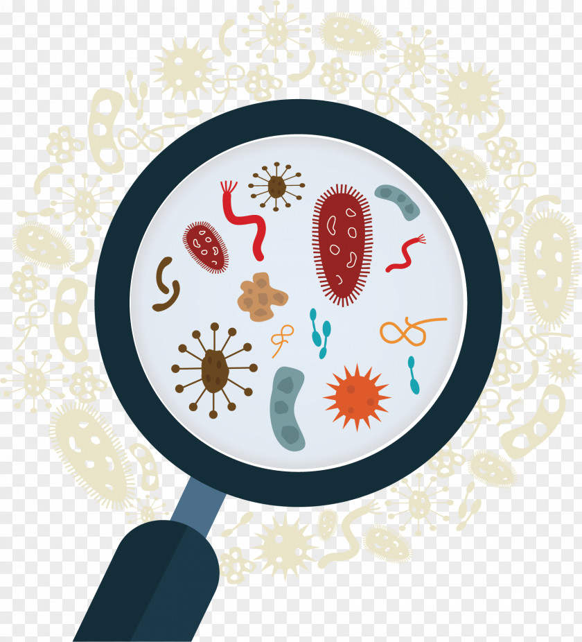 Microbiology Vector Graphics Stock Illustration Microorganism Bacteria PNG