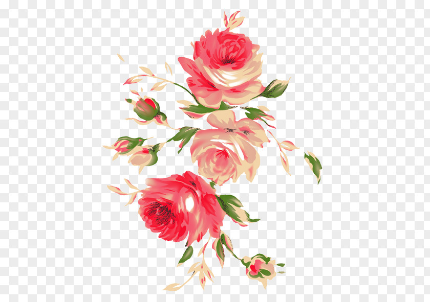 Peony Flower Download Clip Art PNG