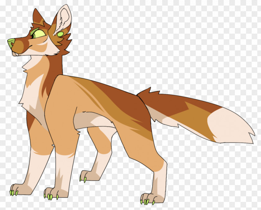Red Wolf Fox Cat Mammal Tail Cartoon PNG