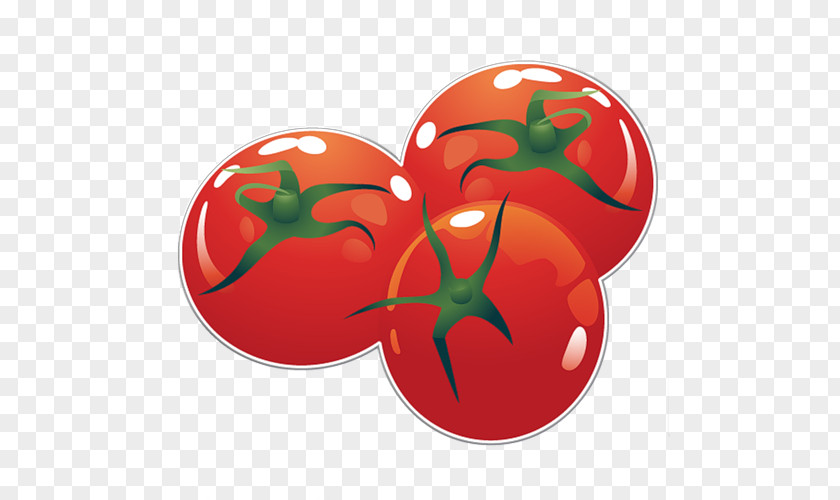 Tomato Fruit Cut 3D Vegetable Food PNG