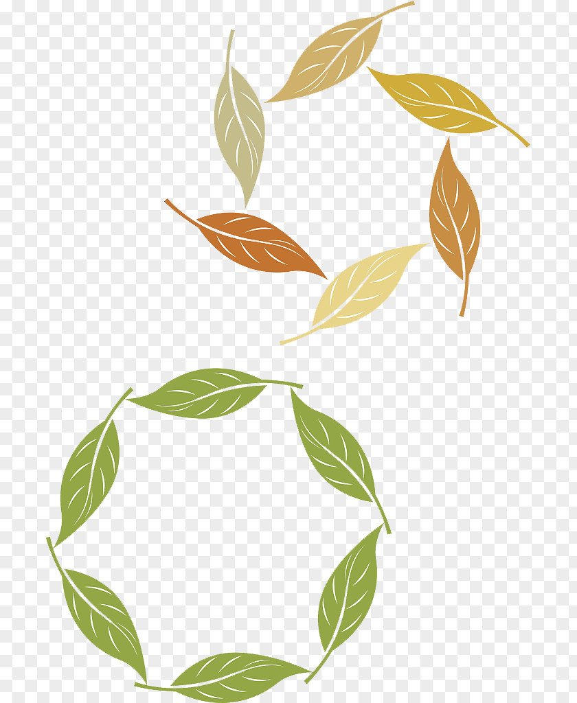 Vector Leaf Ring Circle PNG