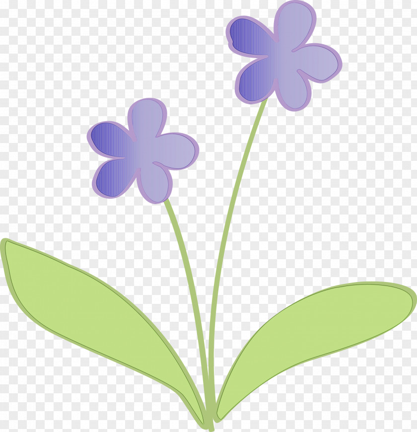 Lavender PNG