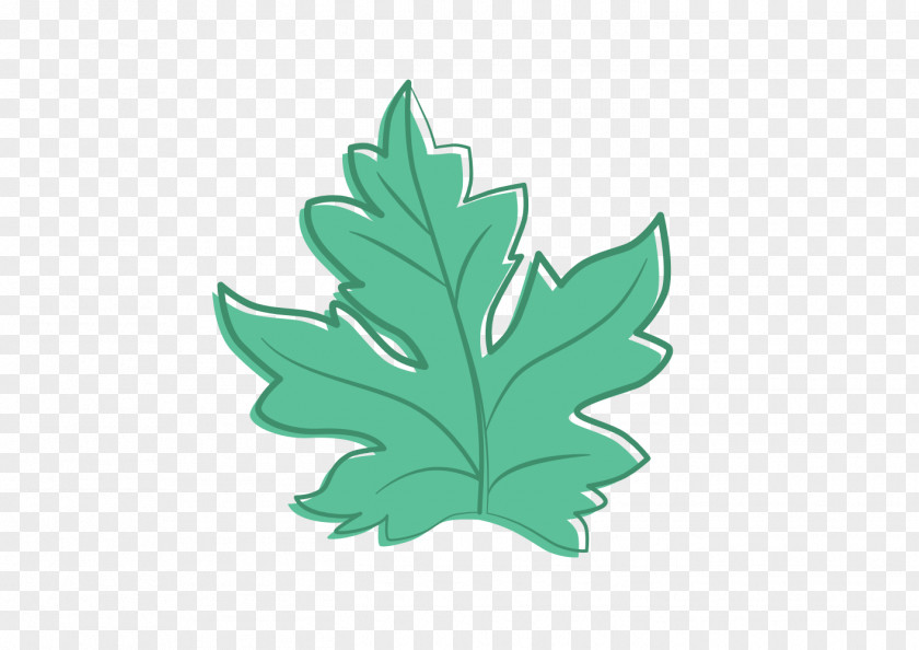 Leaf Maple Line Art Clip PNG