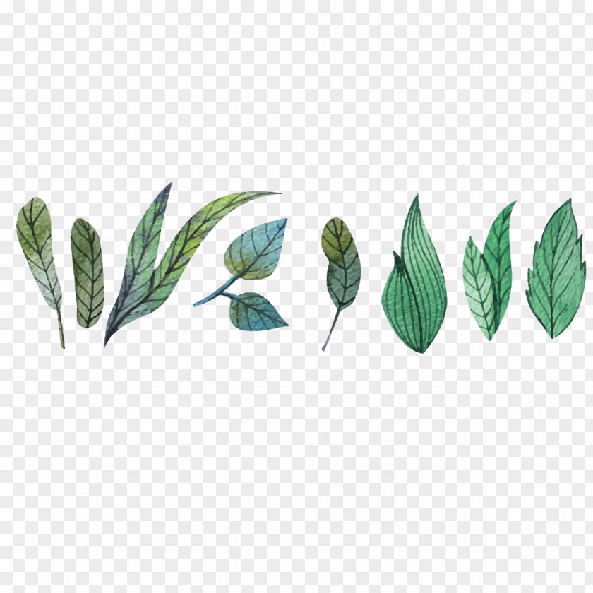 Vector Small Fresh Painted Leaves Watercolor Painting Euclidean Flower Leaf PNG