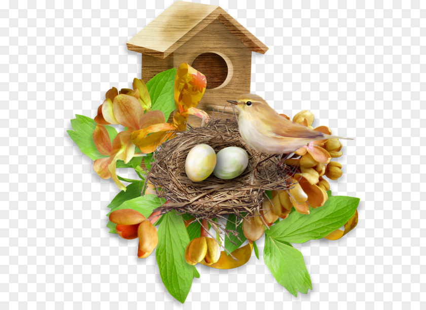 Bird Nest TinyPic Idea Clip Art PNG