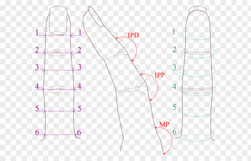 Design H&M Diagram PNG