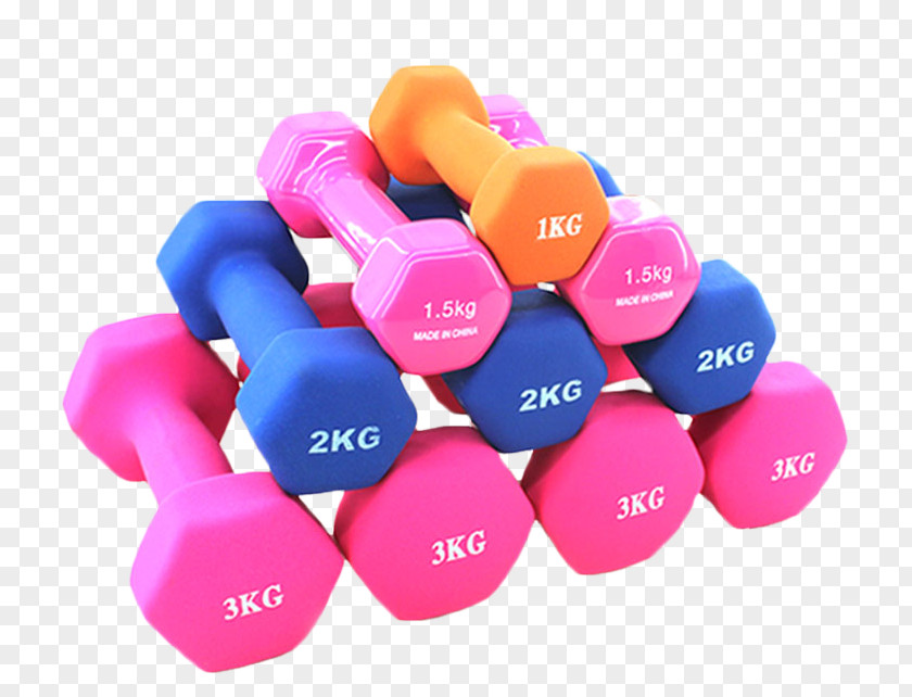 Dumbbell Physical Fitness Weight Training Exercise Equipment Bodybuilding PNG