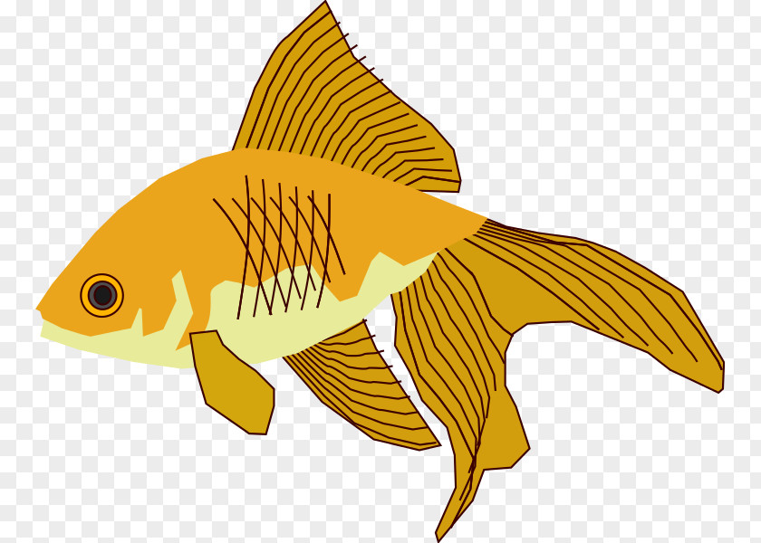 Goldfish Fantail Koi Carassius Auratus Langsdorfii Fish PNG