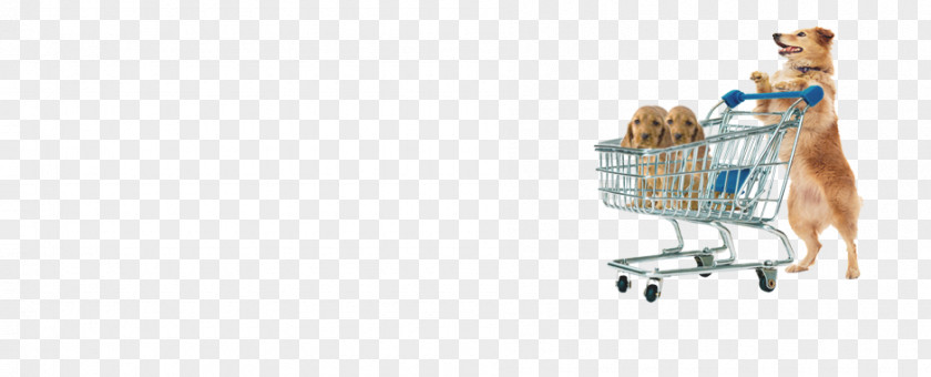 Northern Inuit Dog Shopping Cart Shoe PNG