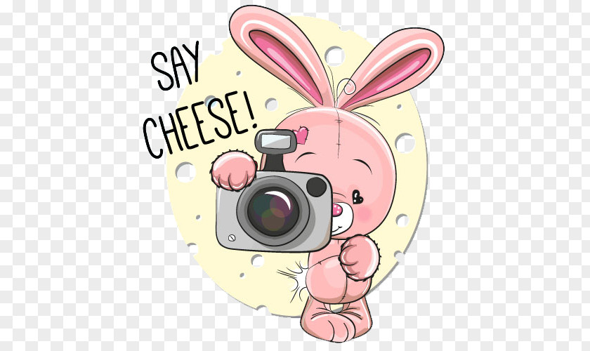 Photography Rabbit Say Cheese Illustration PNG