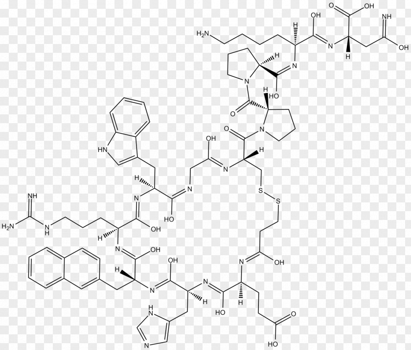 Reversible Addition−fragmentation Chain-transfer Polymerization Monomer Living Reversible-deactivation Radical PNG