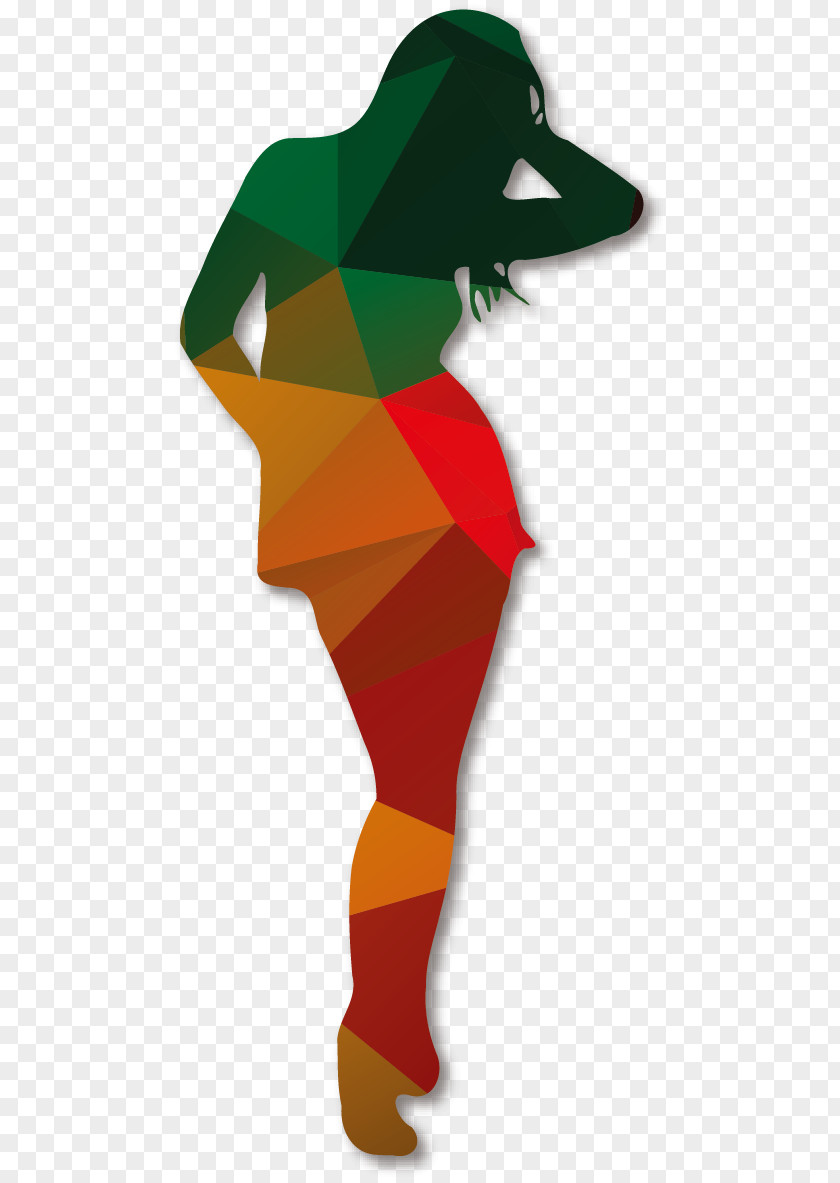 Women Pattern Vector Polygons Polygon Angle PNG