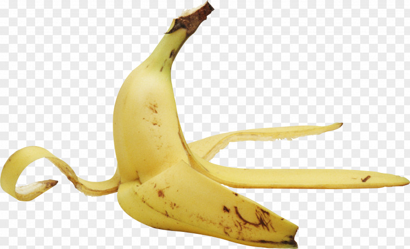 Banana Peel Fruit Food PNG