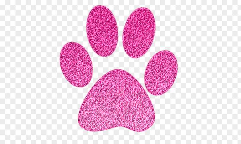 Dog Cat Animal Track Paw Lion PNG