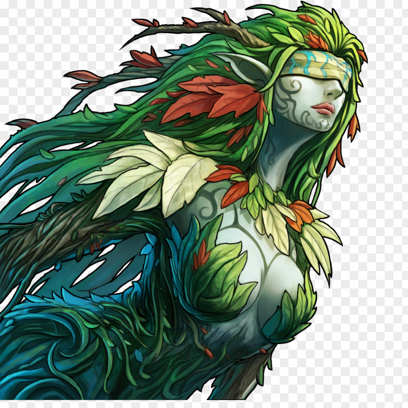 Dryad Infographic Wikia Elf Elemental PNG