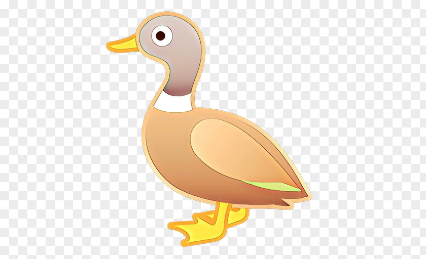 Flightless Bird Livestock Apple Emoji PNG