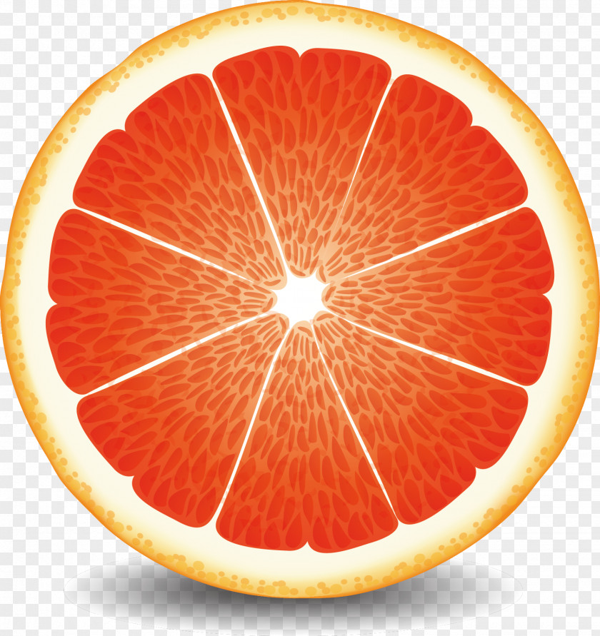 Grapefruit Vector Juice Blood Orange Pomelo PNG