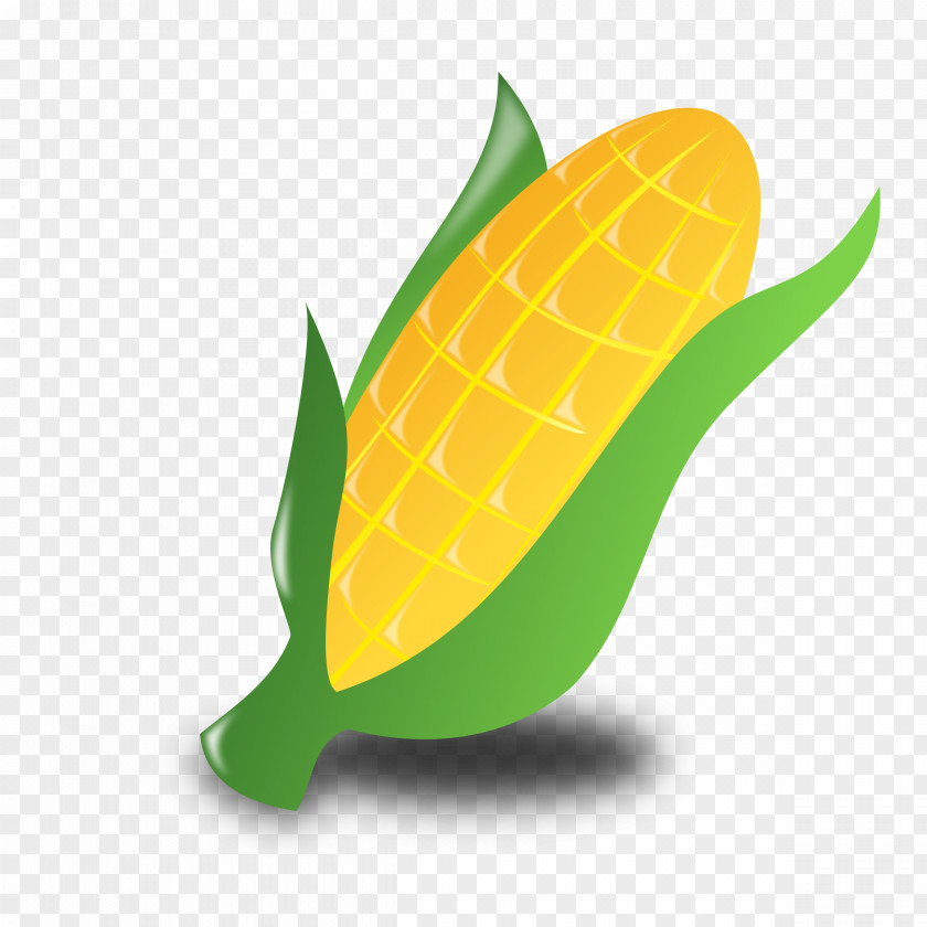 Kwanzaa Cliparts Corn On The Cob Popcorn Maize Clip Art PNG
