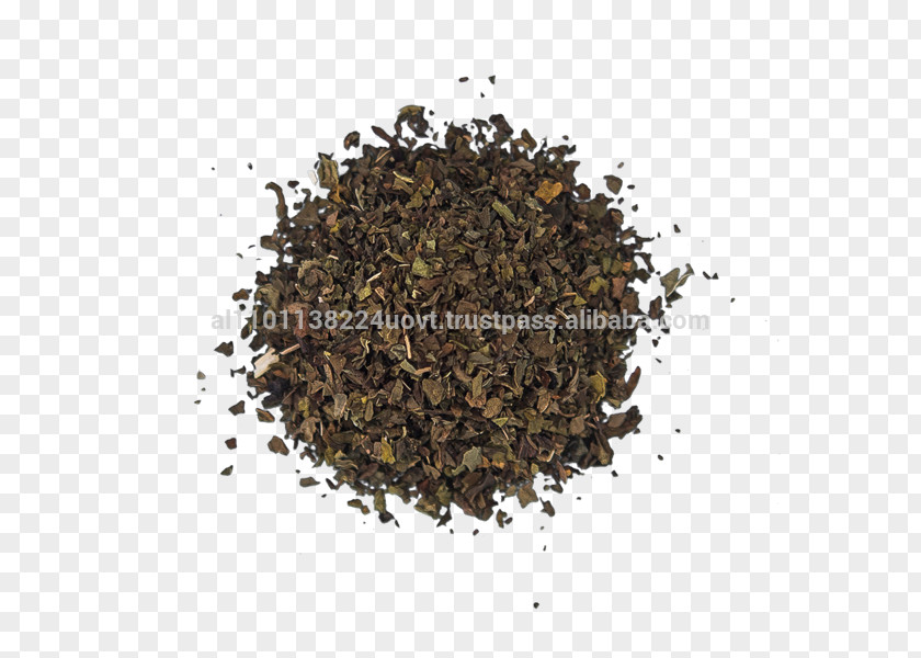 Tea Nilgiri Food Herb Ingredient PNG