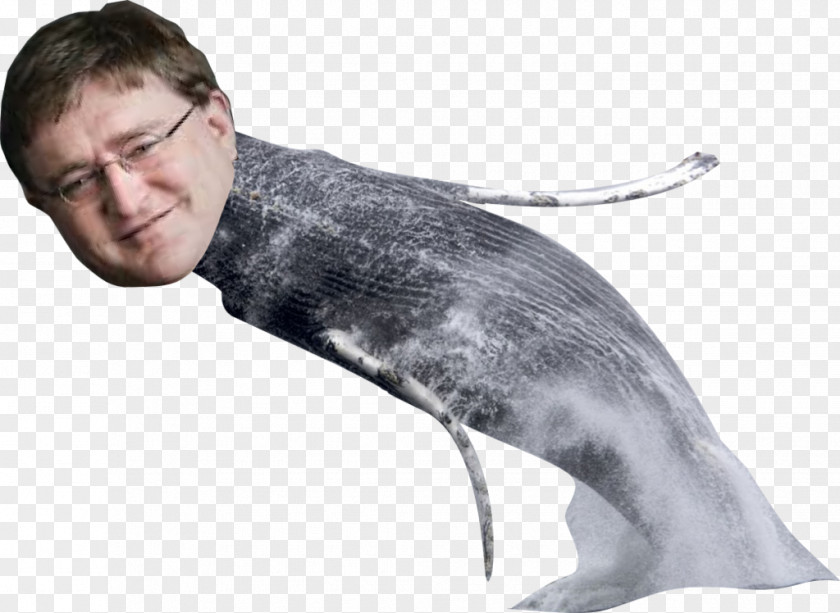 Valve Gaben Gabe Newell Half-Life 2: Episode Three Cetacea Minecraft Digital Art PNG