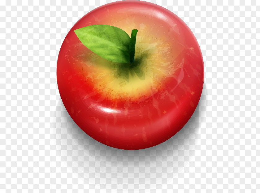 Christmas Eve Apple Icon PNG