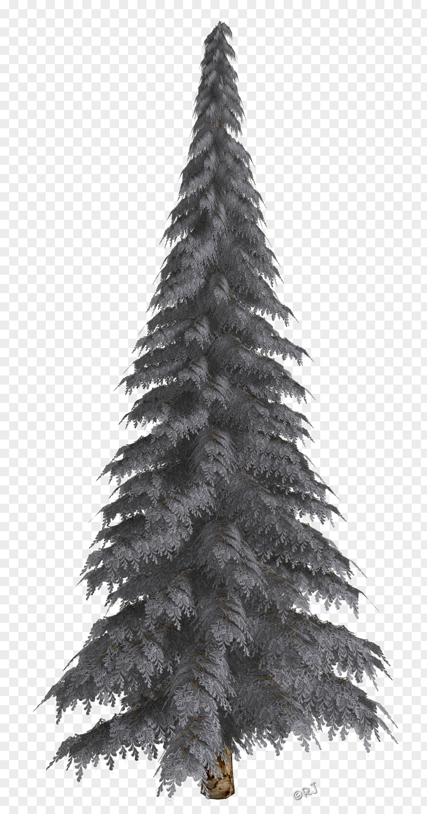 Christmas Tree Fir Pine Ornament PNG