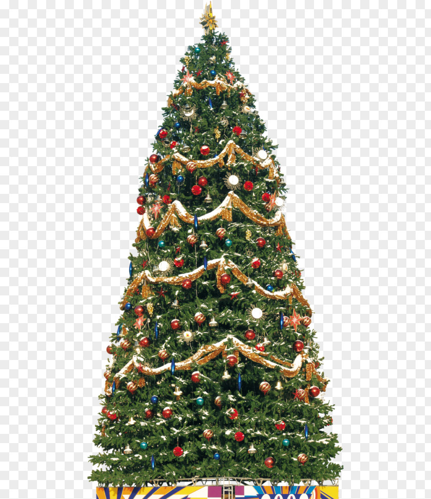 Christmas Tree New Year Spruce Clip Art PNG