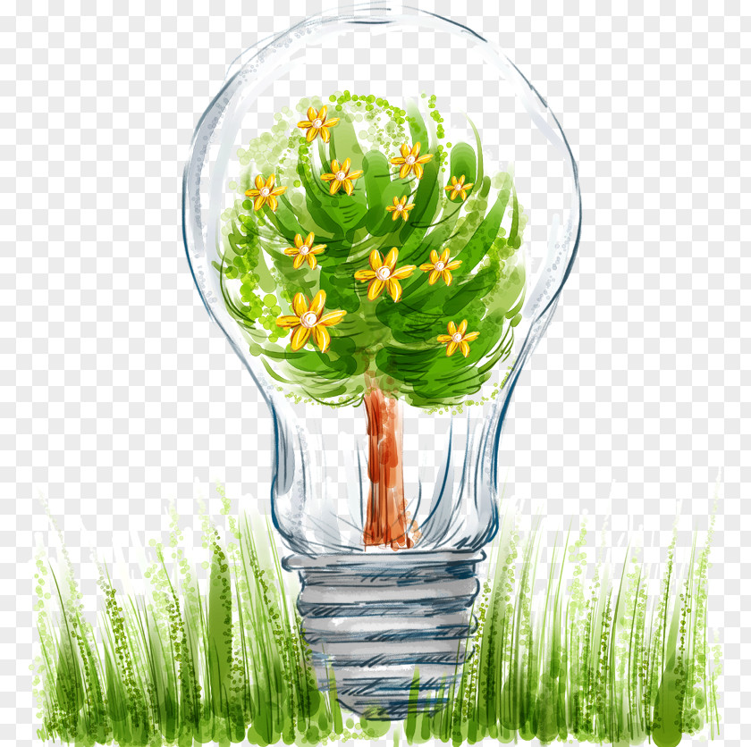 Light Bulb Incandescent Green Energy Conservation Illustration PNG
