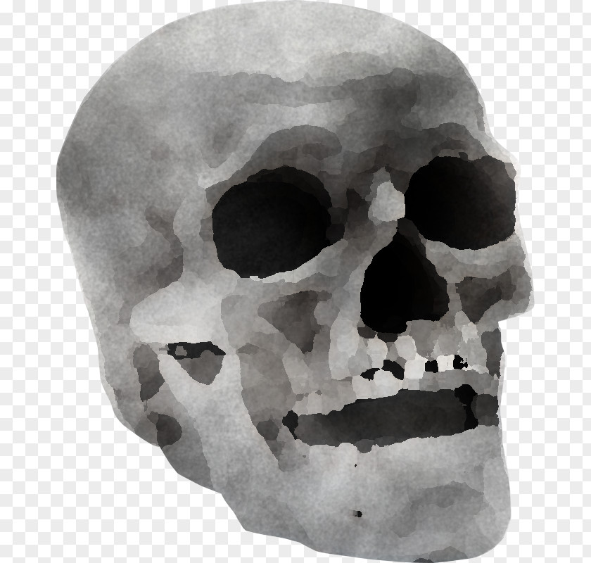 Rock Skeleton Bone Skull Face Head Jaw PNG