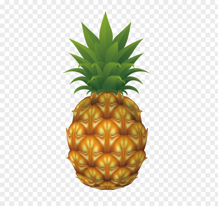 Fruit Pineapple Vector Material Drawing Clip Art PNG