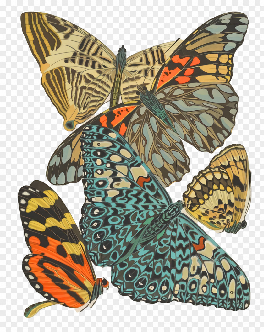 Monarch Butterfly PNG