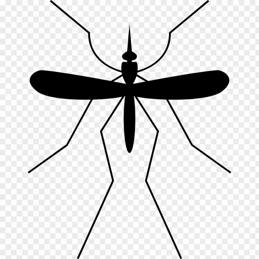 Mosquito Insect Gnat Clip Art PNG