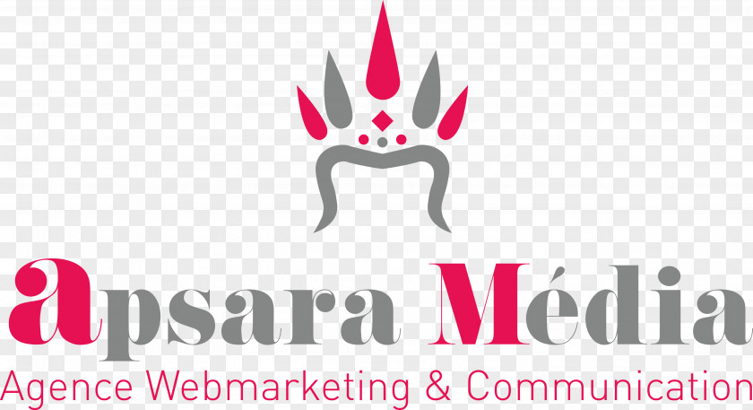 Social Media APSARA MEDIA Marketing Webmarketing PNG