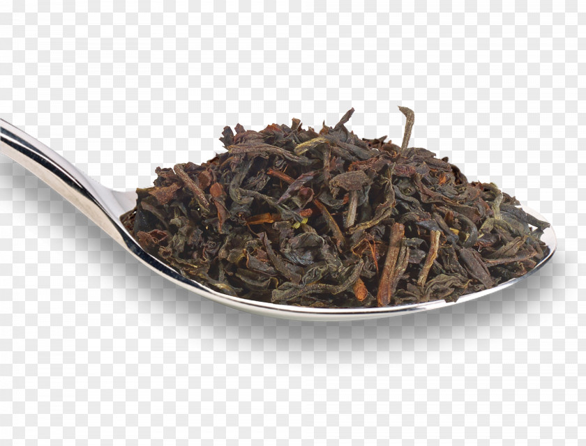 Tea Leaf Assam Keemun Oolong Nilgiri Earl Grey PNG