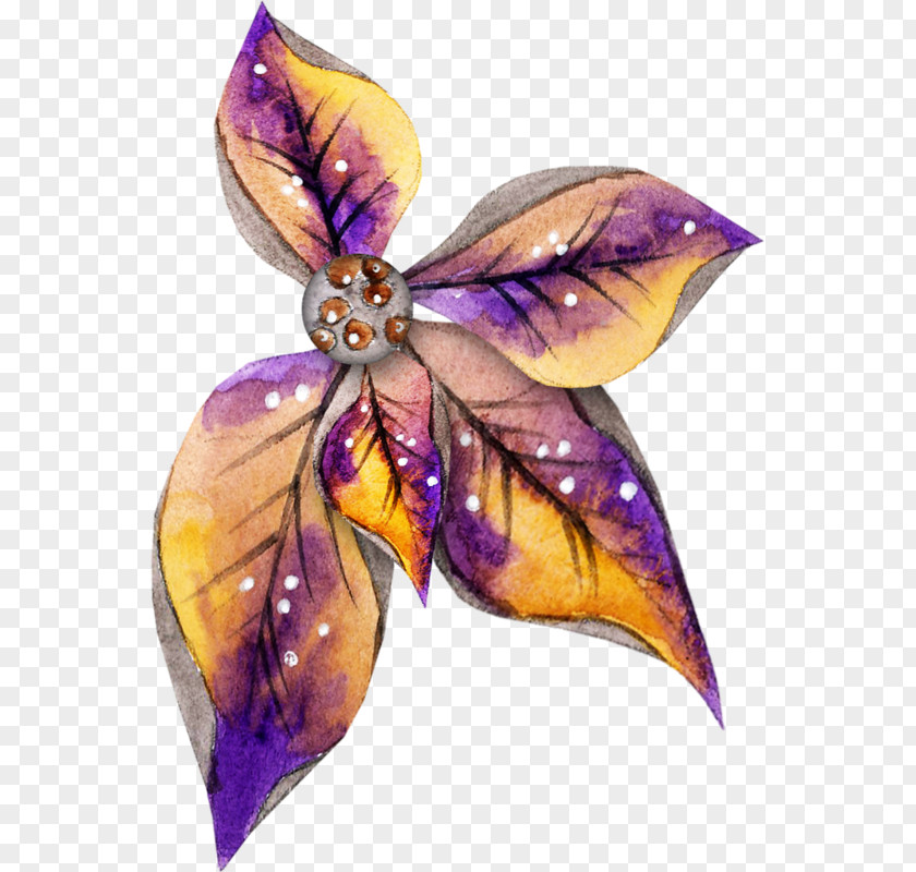 Wsu Flyer Insect Purple Fairy M. Butterfly PNG