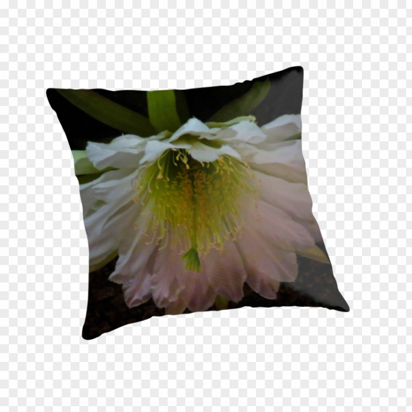 Cactus Blooming Season Cushion Throw Pillows PNG