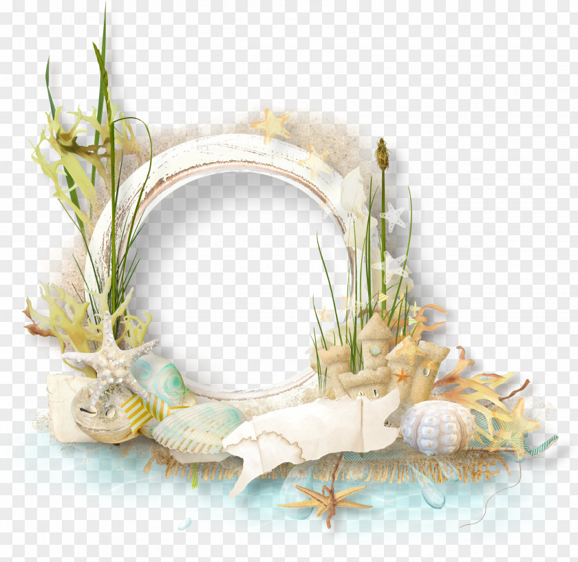 Conch Flowers Decorative Ring Picture Frame Clip Art PNG