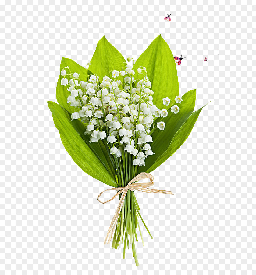 Flower Pattern Lily Of The Valley Bouquet Stock Photography Perfume PNG