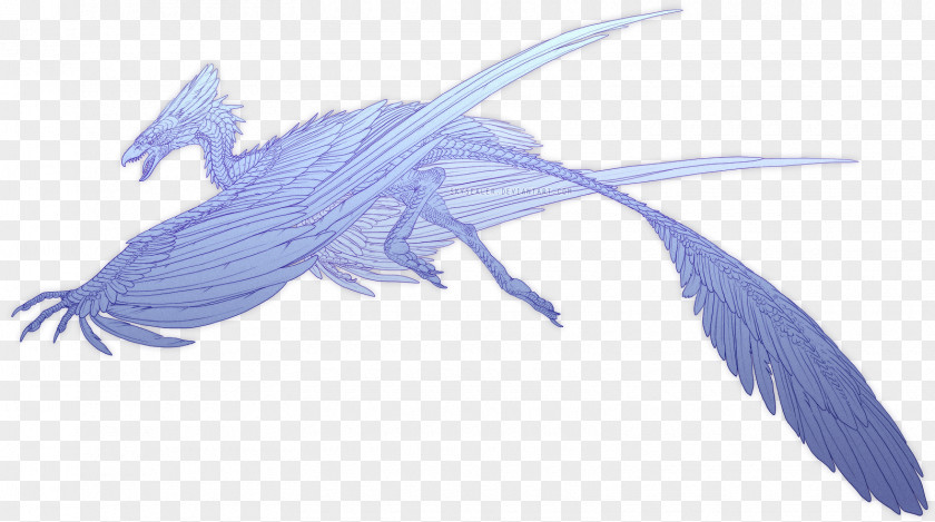 Razor Drawing Dragon Wind PNG