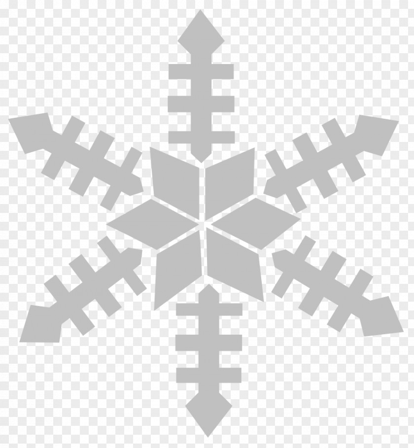 Snowflake Image Grey Clip Art PNG