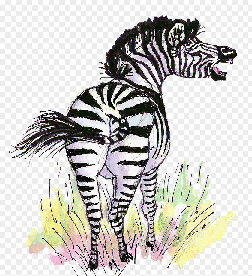 Tiger Quagga The Zebra Mane PNG